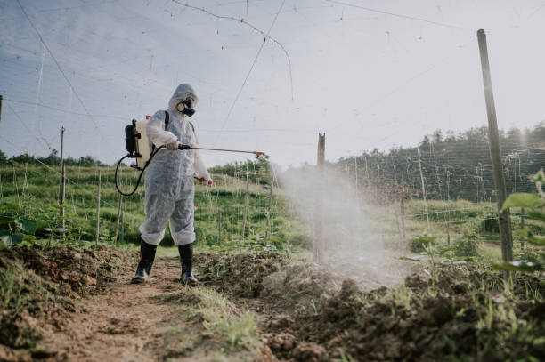 Best Pest Control Treatment  in Lost Hills, CA
