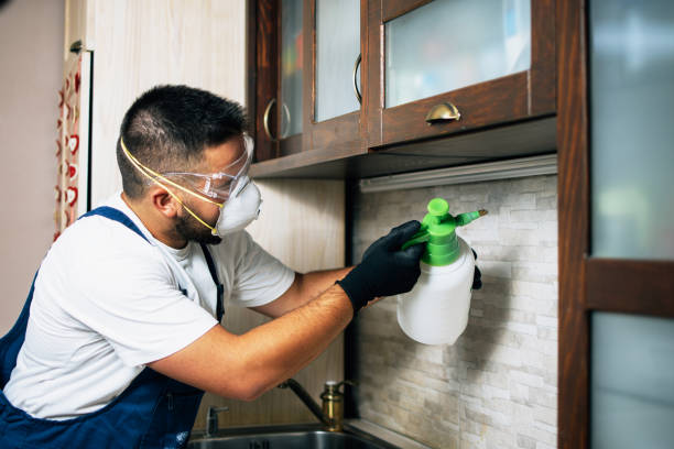 Reliable Lost Hills, CA Pest Control Solutions