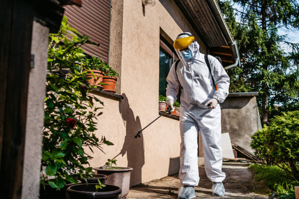 Best Wasp Removal Services  in Lost Hills, CA