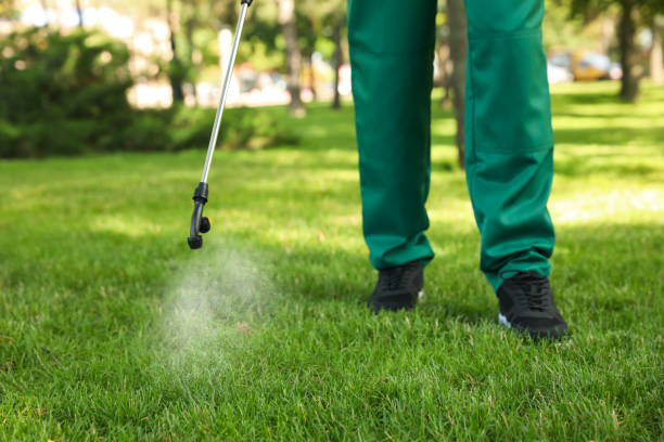 Best Wasp Removal Services  in Lost Hills, CA
