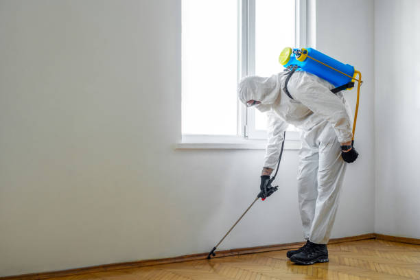 Best Commercial Pest Control Services  in Lost Hills, CA