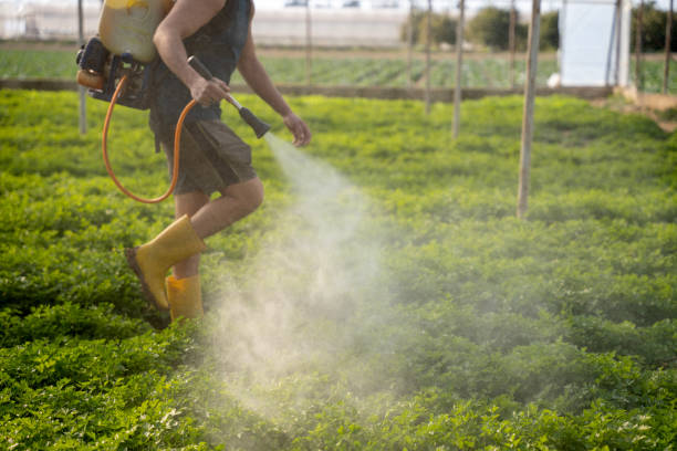Best Local Pest Control Services  in Lost Hills, CA