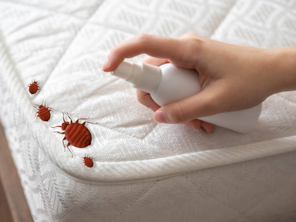 Best Best Pest Control Companies  in Lost Hills, CA
